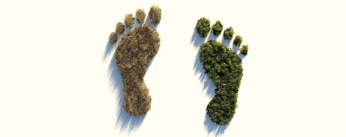 Footprint shapes filled with contrasting natural and industrial imagery.