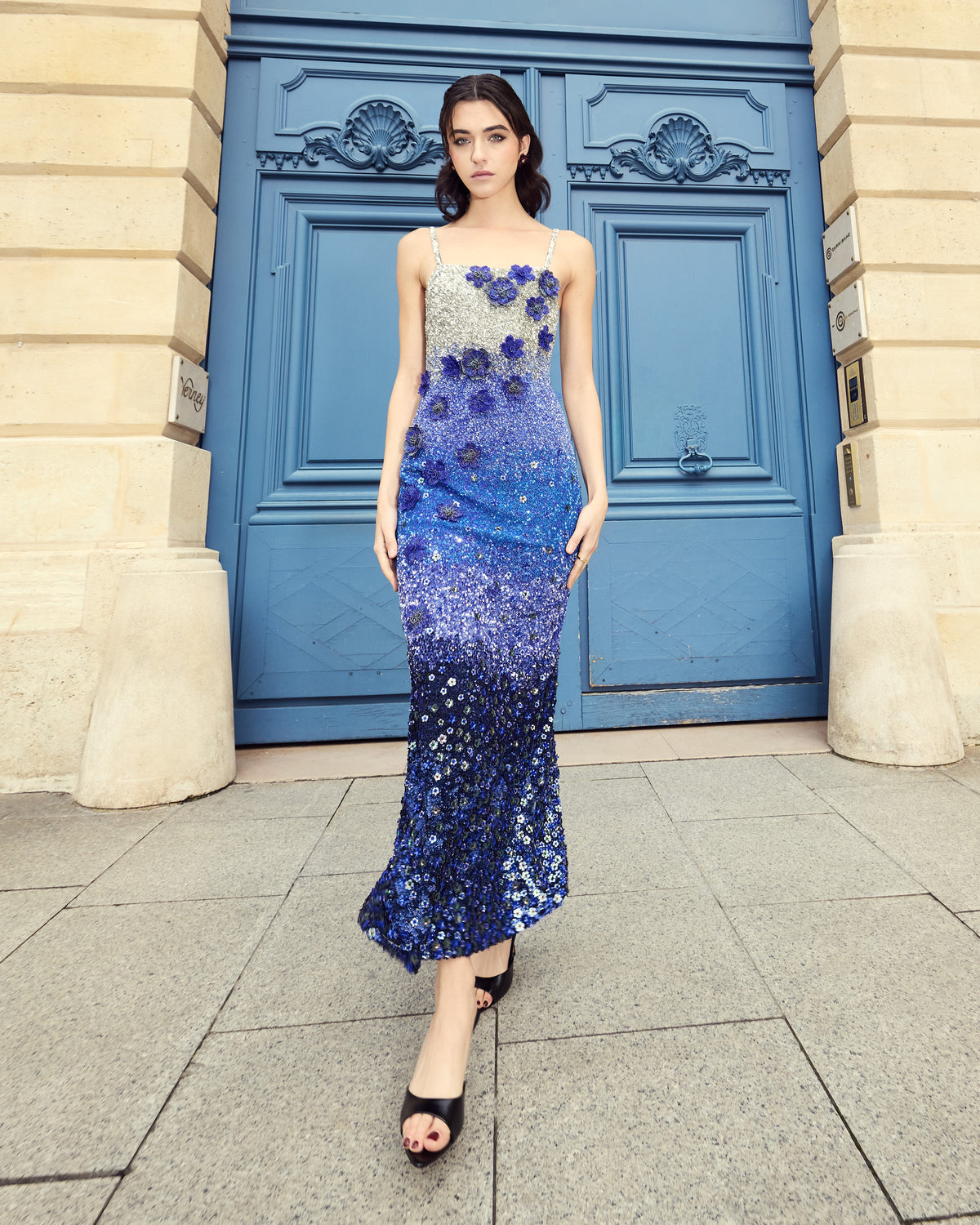 Sapphire Moonlight Embellished Dress