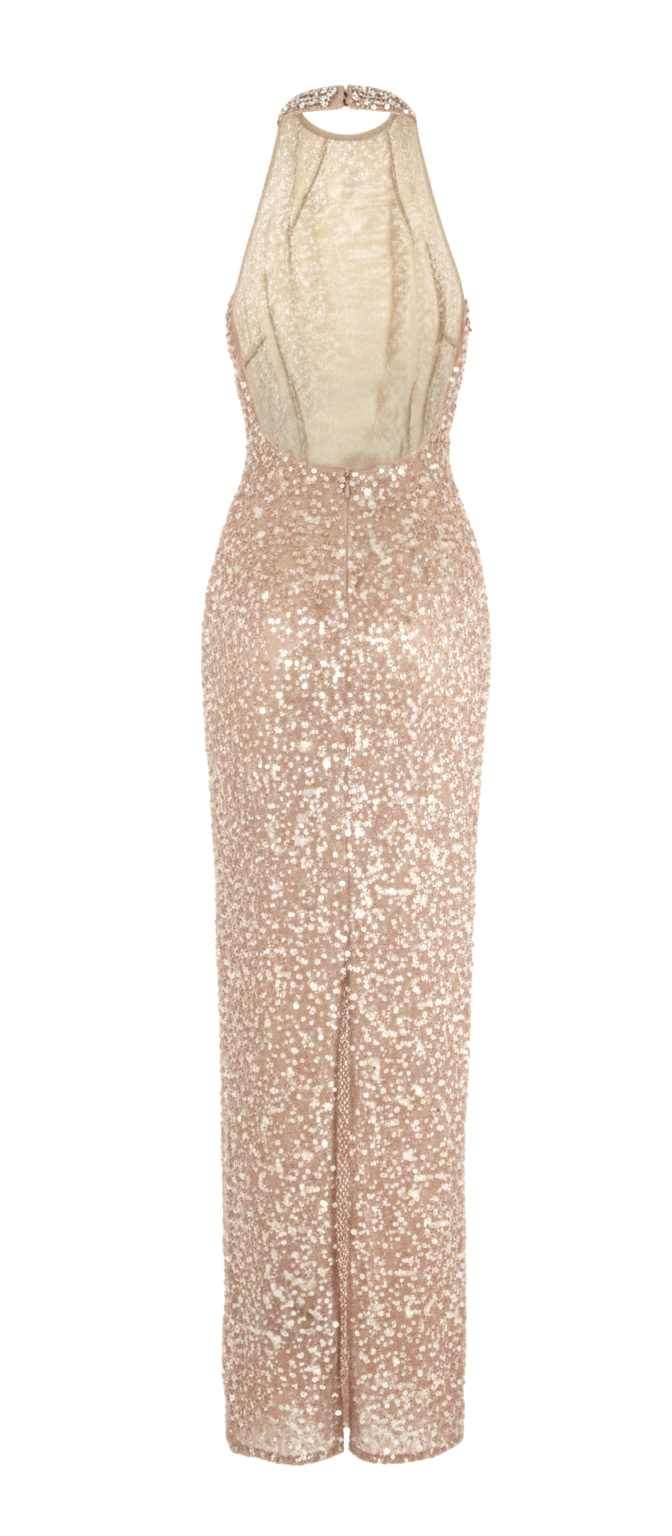 Glam sequin maxi dress featuring a sleek open-back design, perfect as a luxury party gown or cocktail dress.