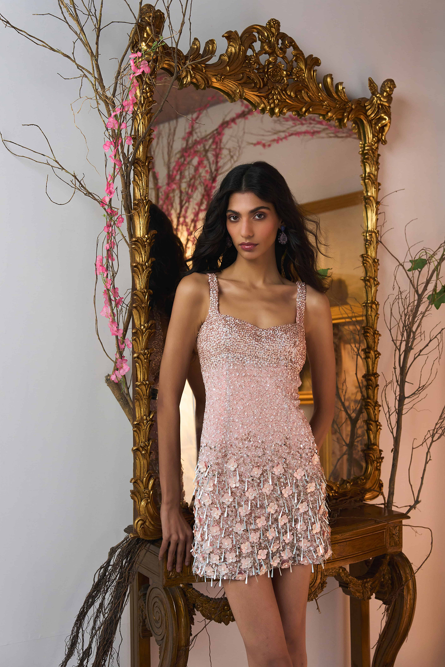 Maris Embroidered Mini Dress 3X