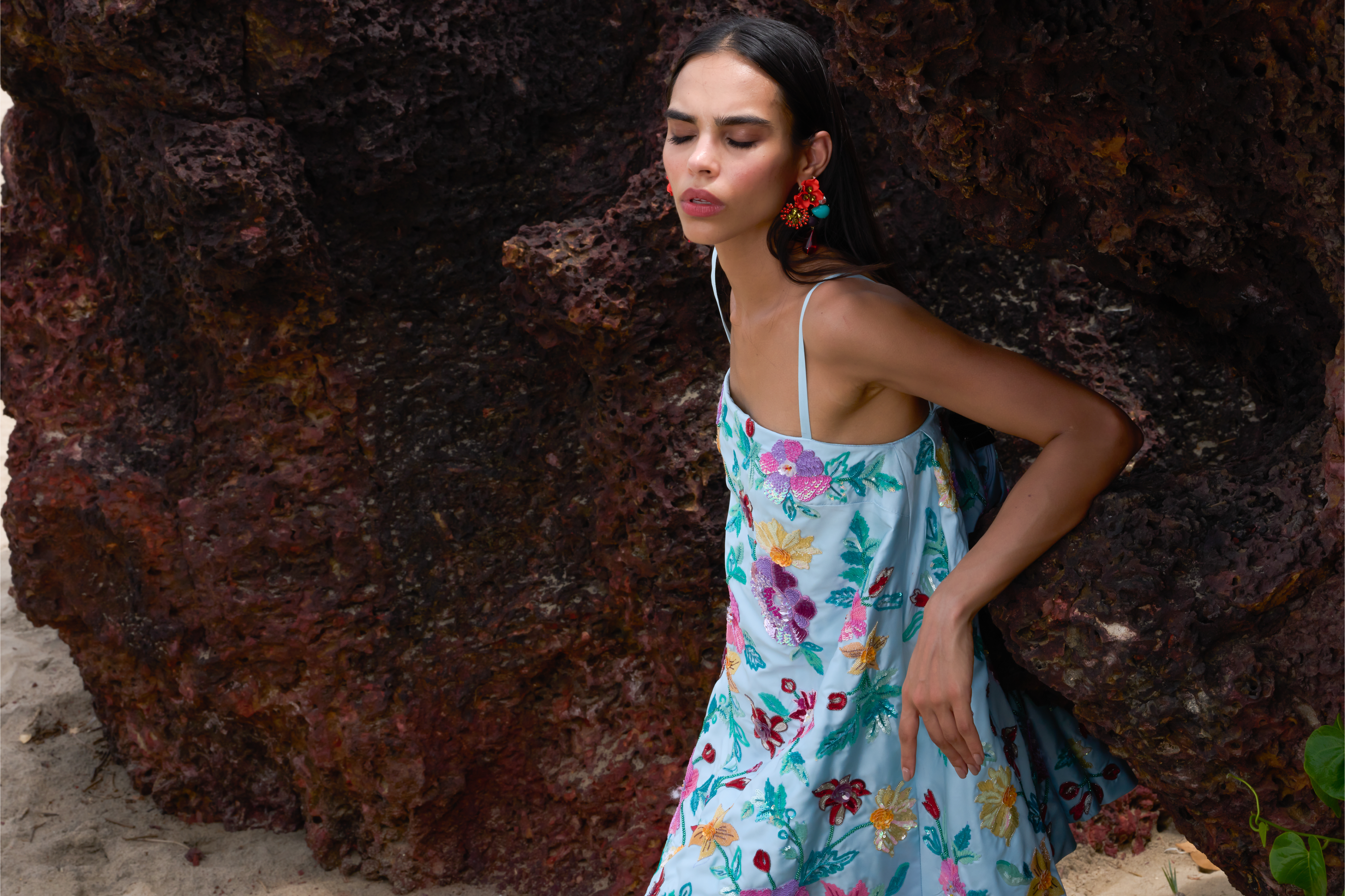 Rhapsody Floral Embroidered Dress