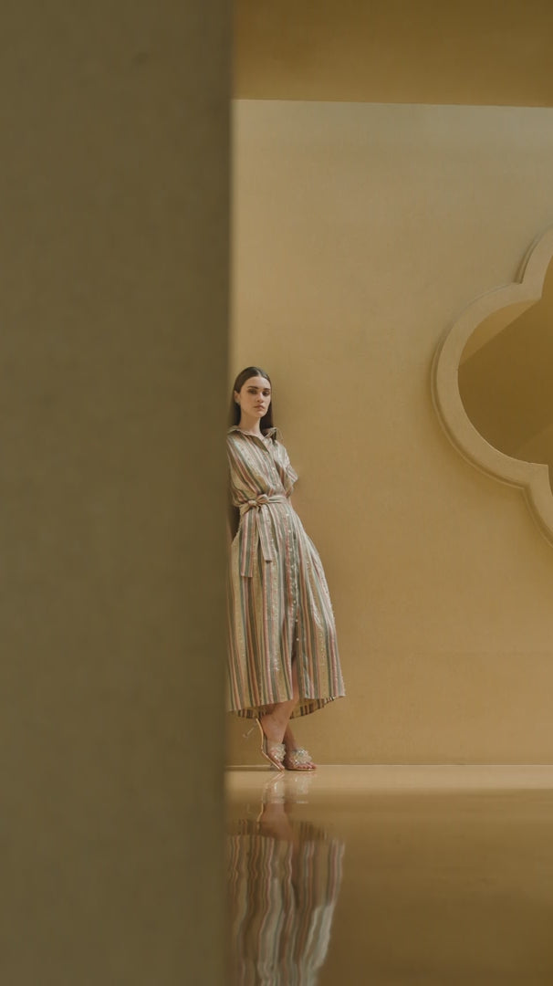 Golden Stripe Embroidered Shirt Dress