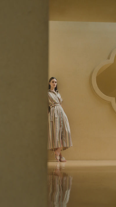Golden Stripe Embroidered Shirt Dress
