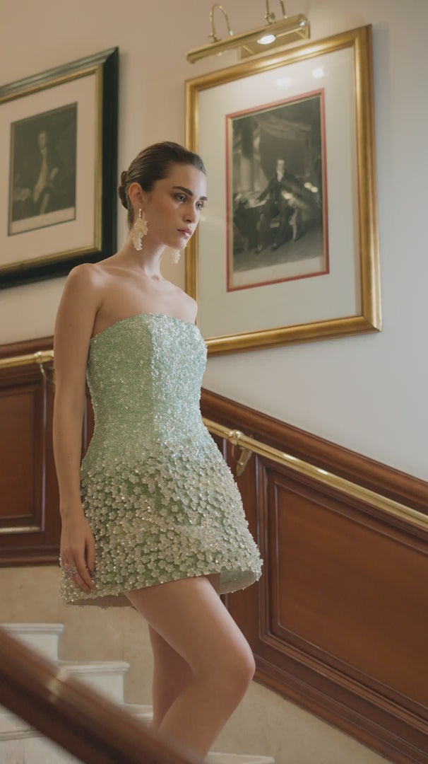 Mystical Garden Embroided Dress