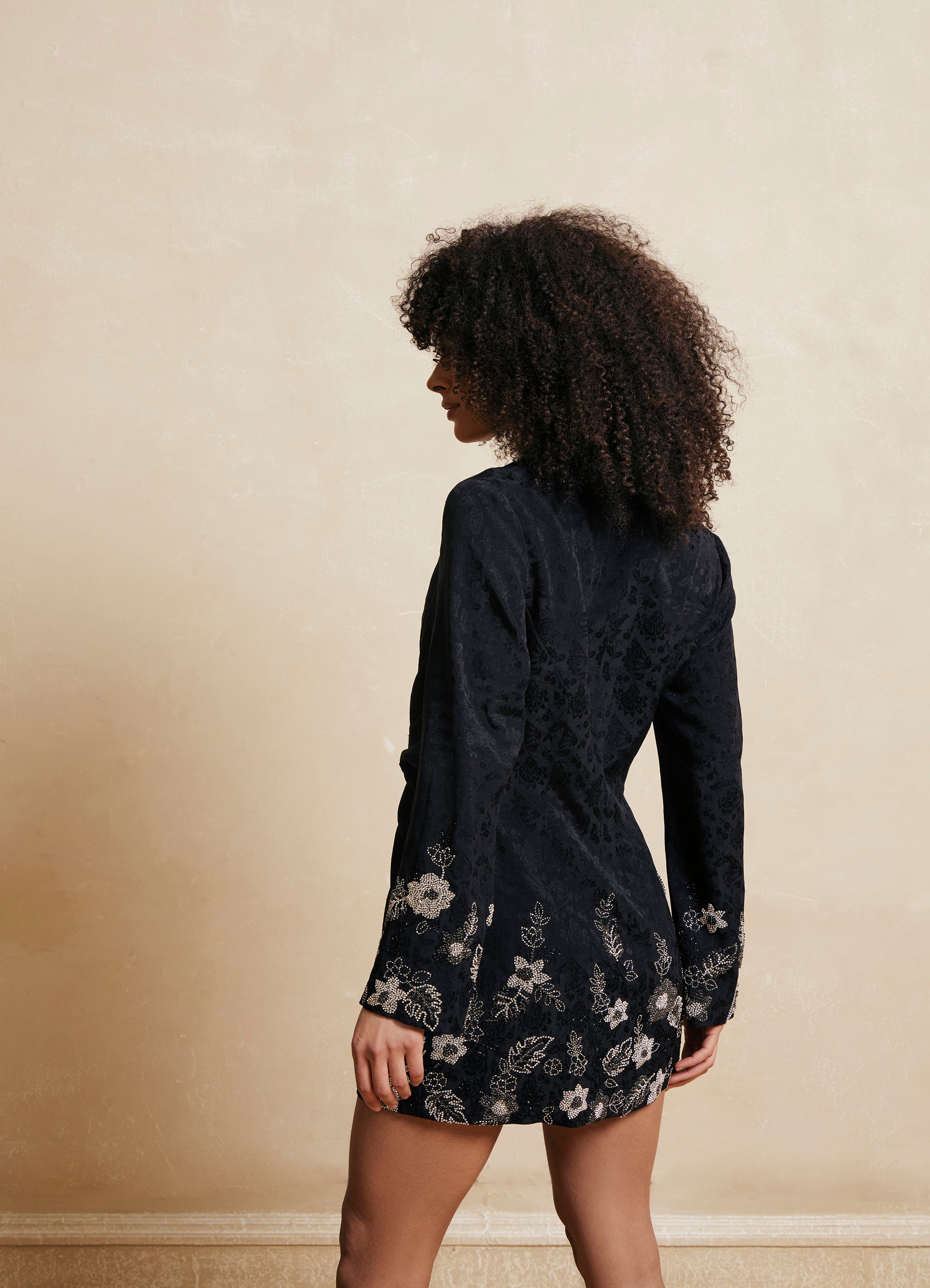 Twyla Embroidered Jacket Dress